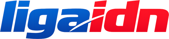 Logo ligaidn